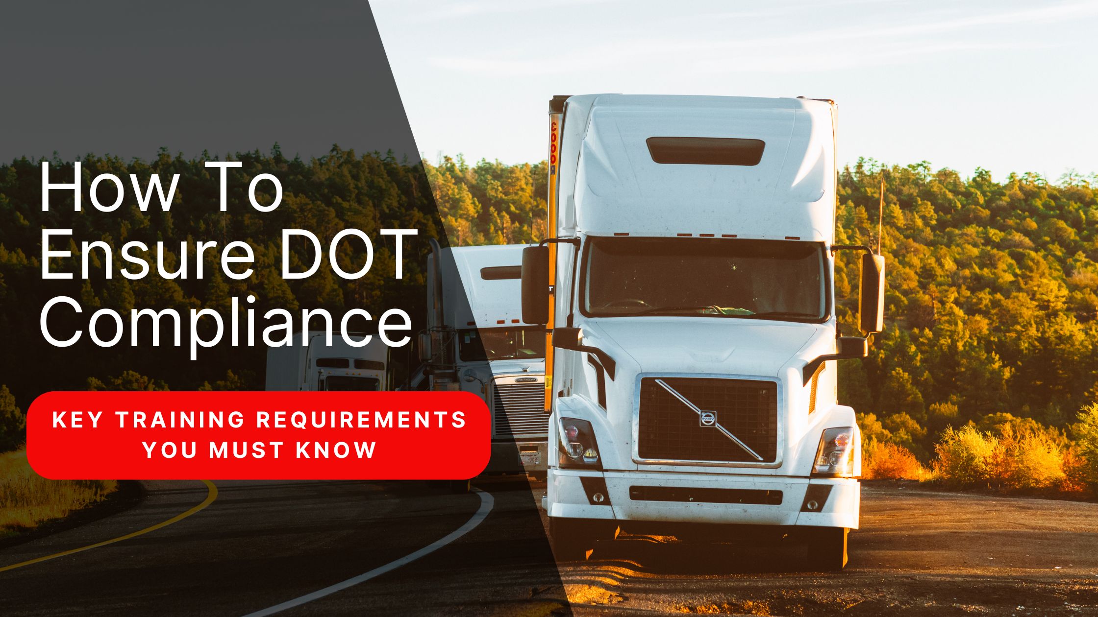 How to Ensure DOT Compliance: Key Training Requirements You Must Know