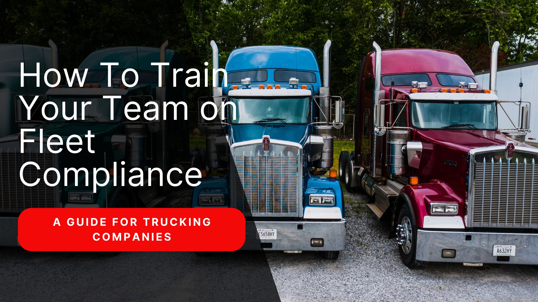 How to Train Your Team on Fleet Compliance